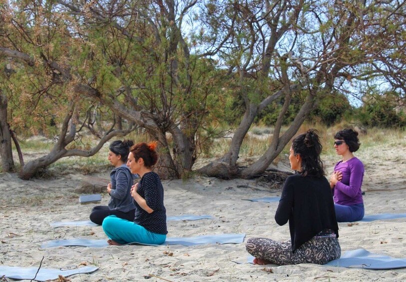 Four people sitting on yoga mats outdoors, surrounded by trees and sand. 3