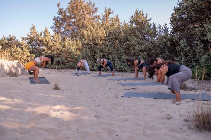 A group of people practicing yoga on mats on a sandy beach with trees in the background. 5