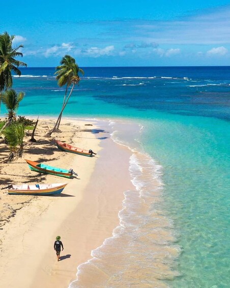 A beach with clear turquoise water, palm trees, and several colorful boats. 1