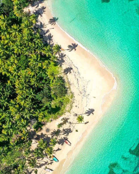 A tropical beach with clear turquoise waters, sandy shore, and dense palm trees. 2