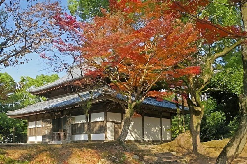 A traditional Japanese building with a tiled roof, surrounded by trees with autumn foliage. 4