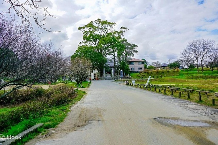 A paved pathway leading to a building with a green roof, surrounded by trees and grass. 1