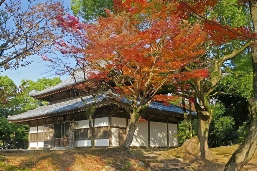 Fukuoka Sacred Sites Half Day Tour with Private AC Car and Guide 4