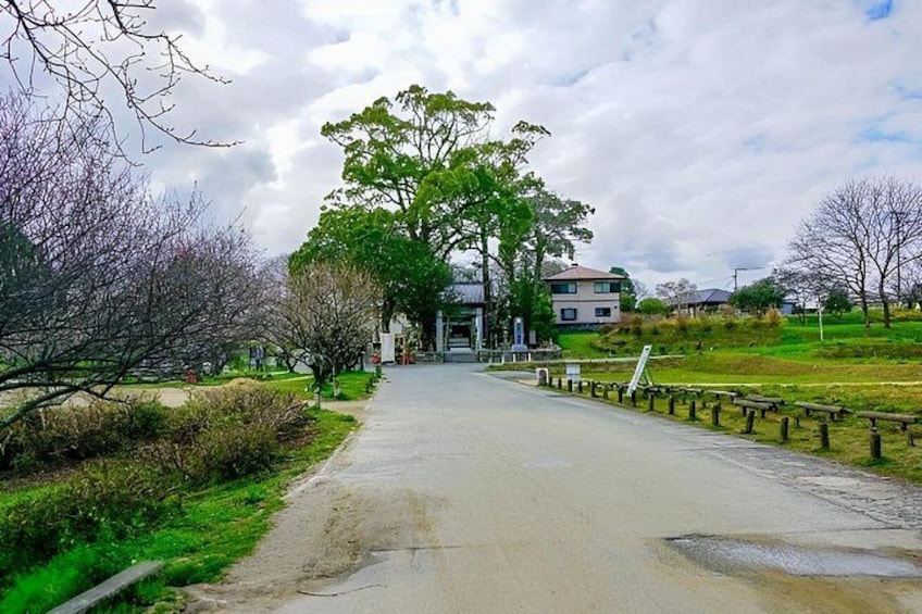 A paved pathway leading to a building with a large tree in the center. 3