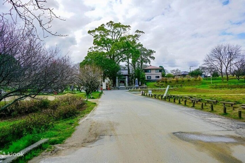 Fukuoka Sacred Sites Half Day Tour with Private AC Car and Guide 1