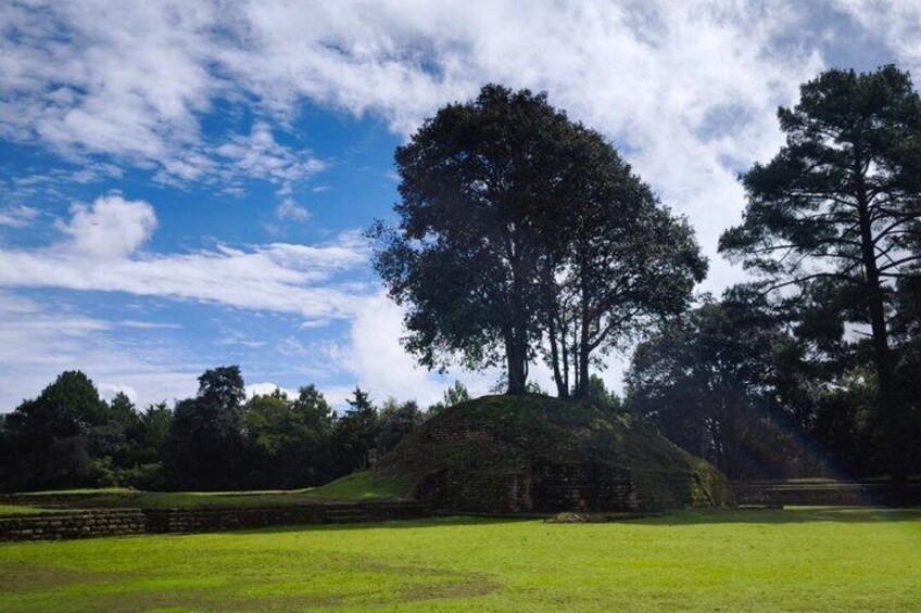 A grassy field with a mound and a large tree. 5