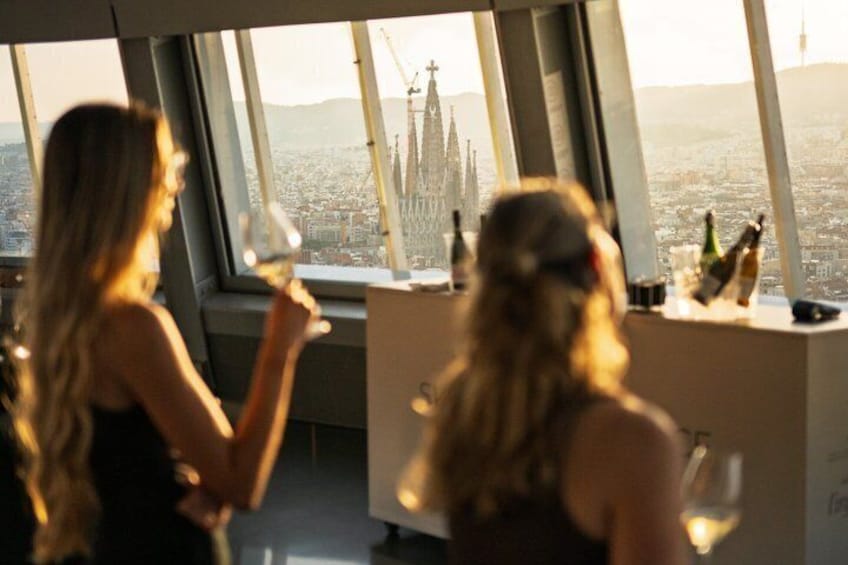Admission to Torre Glories Barcelona Viewpoint with Wine Tasting 3