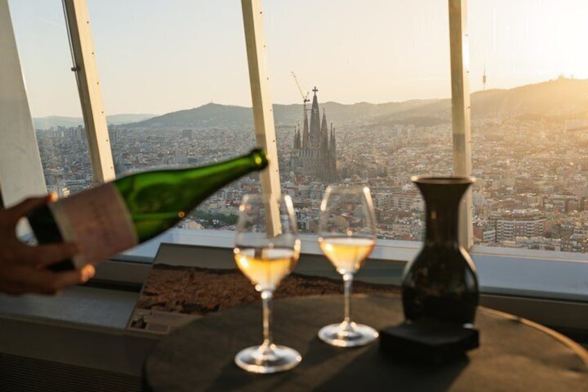 Admission to Torre Glories Barcelona Viewpoint with Wine Tasting 5