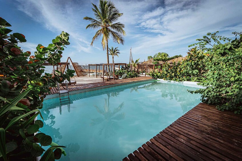 A swimming pool surrounded by lush greenery and a wooden deck. 4