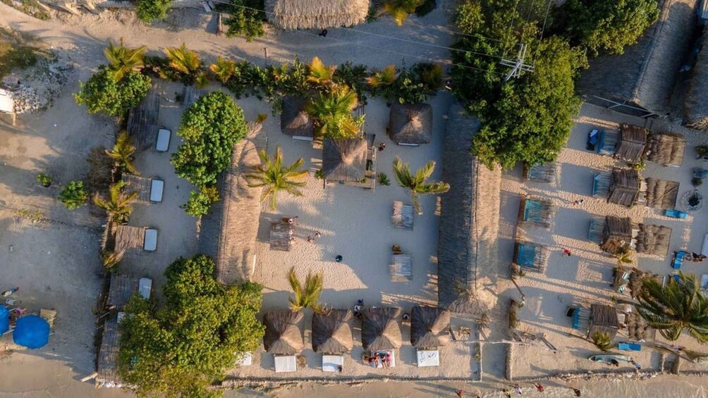 A beach area with thatched-roof structures, palm trees, and sun loungers. 2