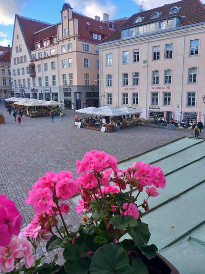 A cobblestone square with buildings, outdoor cafes, and pink flowers in the foreground. 2