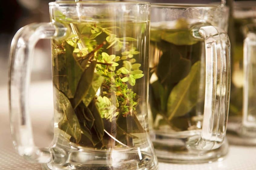 Two clear glass mugs with handles, filled with water and containing green plants. 5