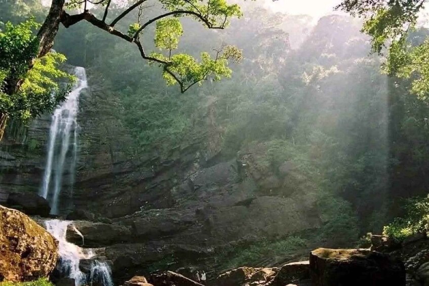 A waterfall in a forested area with sunlight filtering through the trees. 5