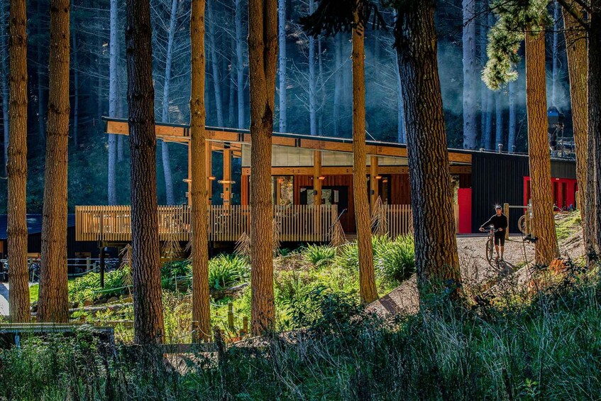 A modern wooden building surrounded by tall trees in a forest. 2