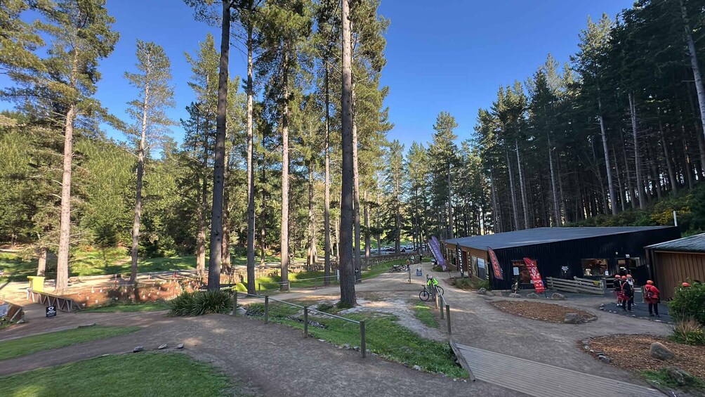 A forested area with a dirt path, a covered shelter, and a small building. 5