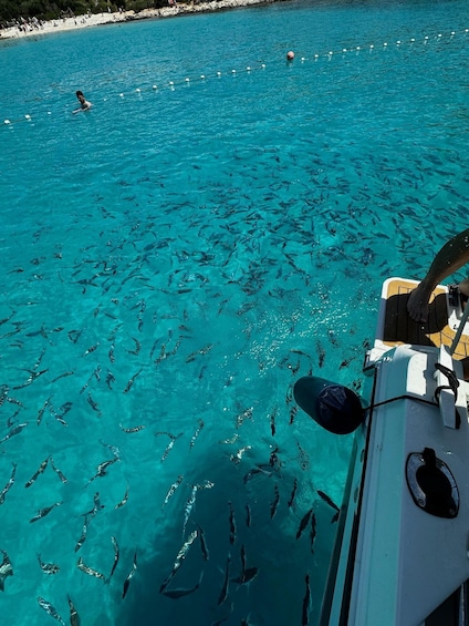 A boat with a person swimming in the water, surrounded by a school of fish. 4