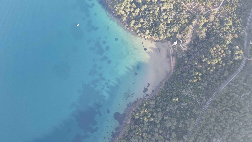 A coastal area with a clear beach, dense forest, and a winding road. 5