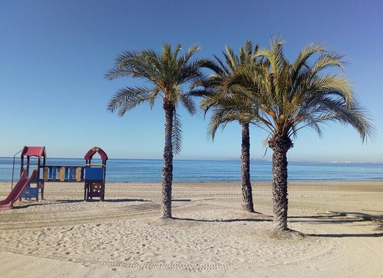 A beach with palm trees and a playground. 4