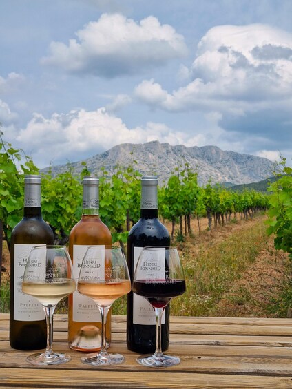 Three wine bottles and glasses on a wooden table with a vineyard and mountains in the background. 1