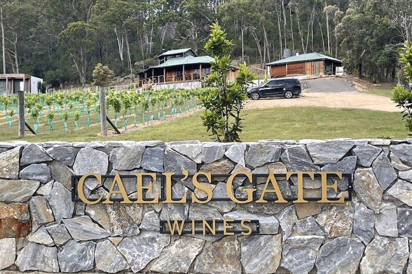 A vineyard with a stone wall labeled "CAEL'S GATE WINES" and two buildings in the background. 4