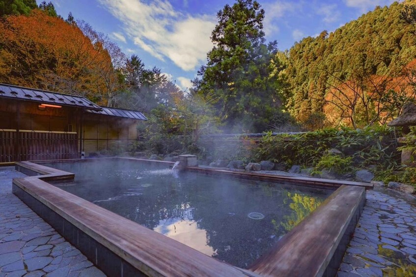 A hot spring surrounded by trees and a wooden structure. 1