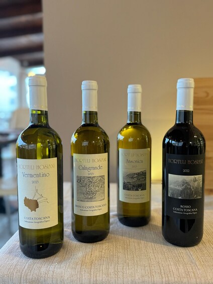 Picture 4 for Activity Porto Santo Stefano: Wine Tasting with Sea View 4