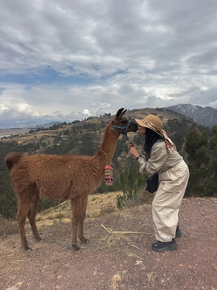 Cusco: Nature walk with alpacas and llamas. 1