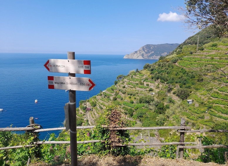 A signpost with directions to Vernazza and Madonna di Reggio, overlooking a coastal landscape with terraced fields. 4