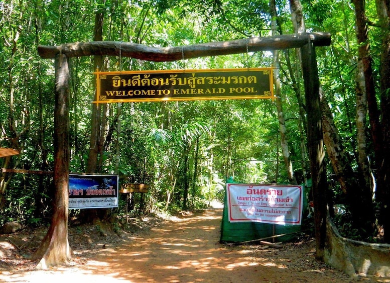 A forested path leading to a sign welcoming visitors to Emerald Pool. 5