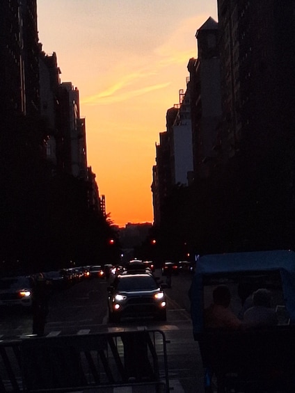 Picture 5 for Activity NYC: Central Park Pedicab Tour 5