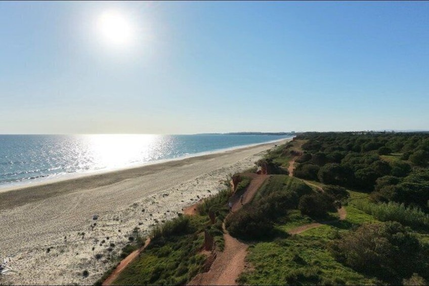 A beach with a clear sky, a path leading to the shore, and dense greenery on the right. 3