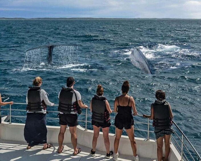 Picture 1 for Activity Mirissa: Whale Watching Cruise 4