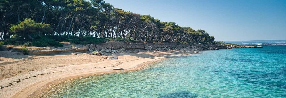 A sandy beach with clear turquoise water, a rocky shoreline, and dense trees in the background. 2