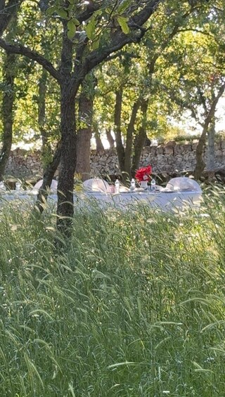 A stone wall, trees, and a table with items on it. 5