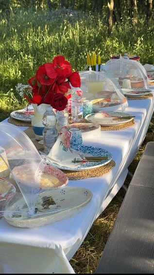 A table set outdoors with vintage plates, a vase of red flowers, and a clear plastic cover. 4