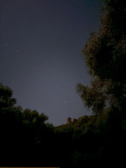 A starry night sky over a hilly landscape with trees and a small structure on the hill. 5