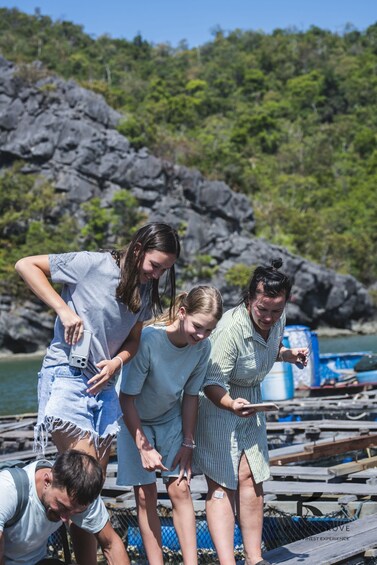 A group of people on a dock, some holding a smartphone and a tablet, with a rocky shoreline and greenery in the background. 5