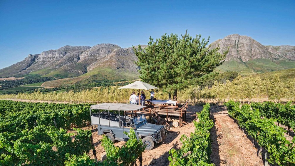 A vineyard with a parked vehicle and people near a table under a tree. 5