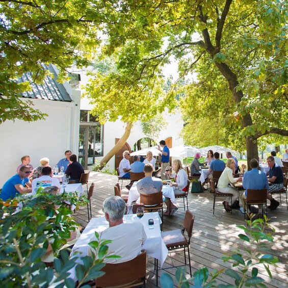 An outdoor dining area with people seated at tables under trees. 3