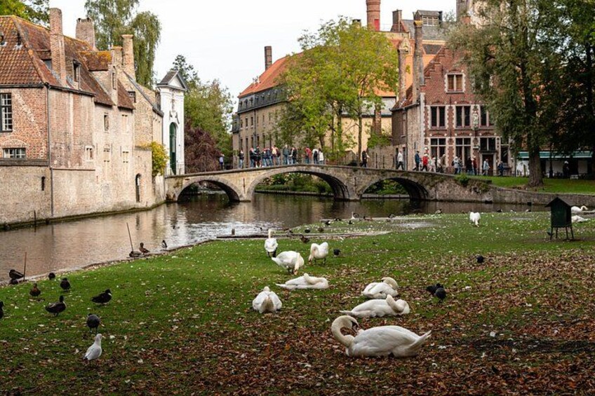 From Brussels: Antwerp, Ghent and Bruges Tour 2