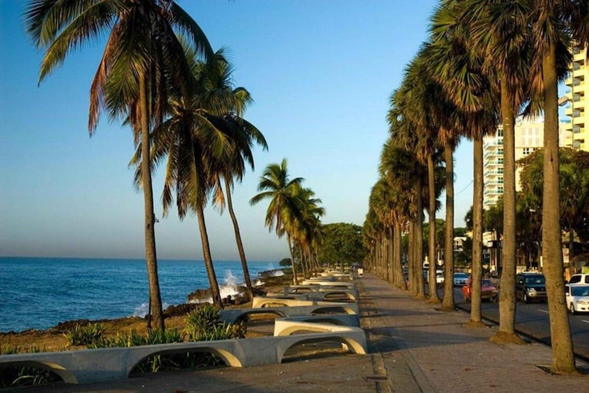 A coastal promenade lined with palm trees and a clear blue sky. 2