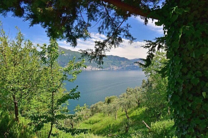 A lake surrounded by trees and hills. 3