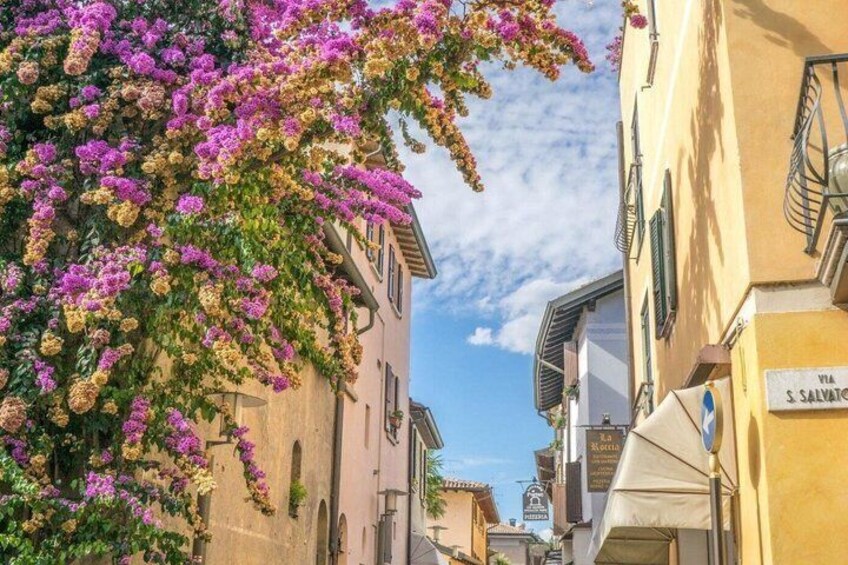 A narrow street with buildings, a sign reading 'Via S. Salvatore,' and flowering trees. 2