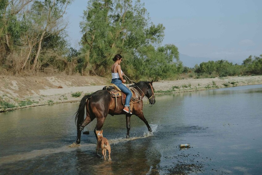 A person riding a horse across a river, with a dog following closely behind. 1