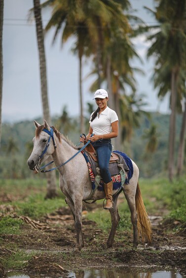 A person riding a horse through a wetland area with palm trees in the background. 3