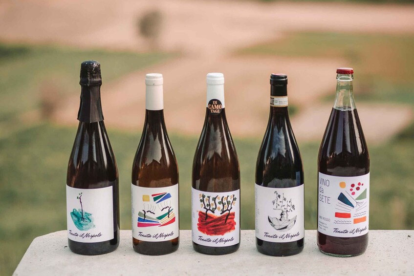 Five wine bottles with labels, placed outdoors on a table. 5