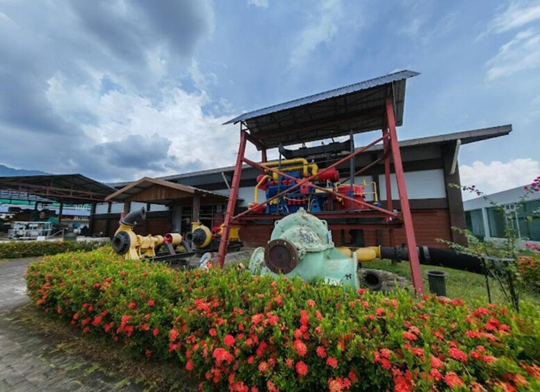Industrial machinery, a metal structure, and red flowers. 5