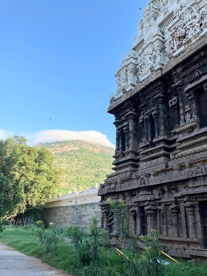 A temple with intricate carvings, a clear sky, and a mountain in the background. 1