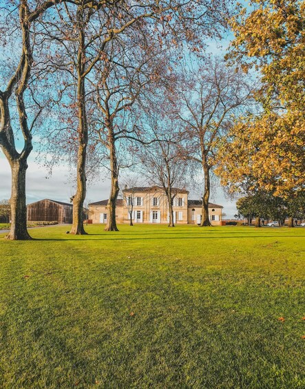A large building with a lawn in front, surrounded by trees with autumn leaves. 3