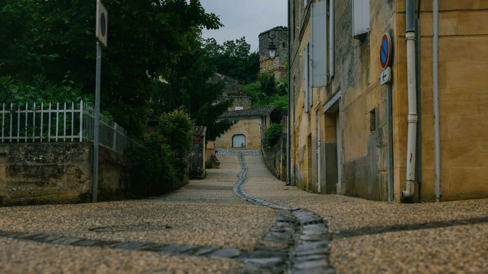 A narrow cobblestone street flanked by stone buildings, a metal fence, and lush greenery. 1